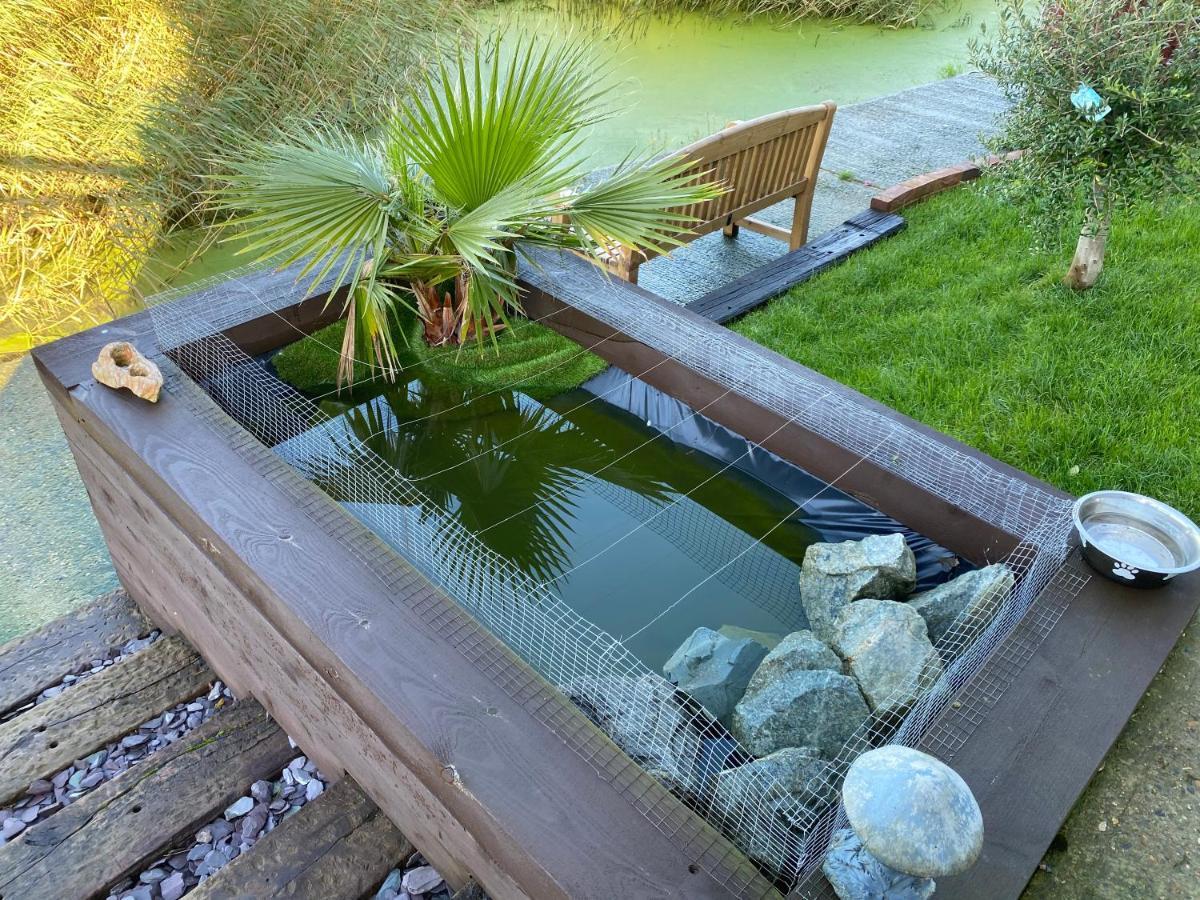 דיימצ'רץ' Waterside Guesthouse מראה חיצוני תמונה